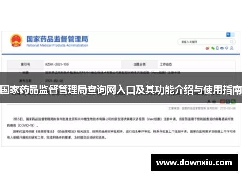 国家药品监督管理局查询网入口及其功能介绍与使用指南